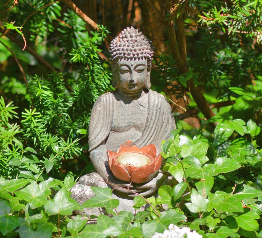 buddha w roślinach